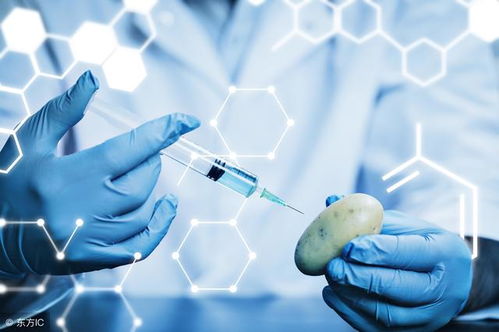 探索生命密码 生物科学技术与计算机的现代融合